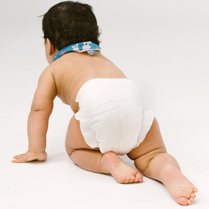 Eco Nappy Subscription - Monthly